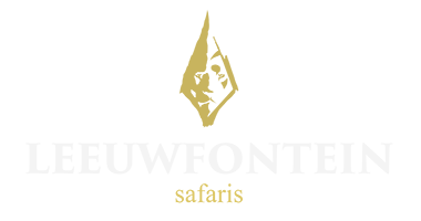 Leeuwfontein Safaris